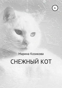 Марина Козикова Снежный кот обложка книги