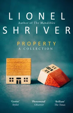 Lionel Shriver Property обложка книги
