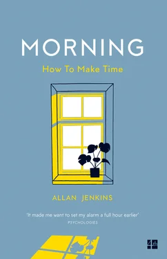 Allan Jenkins Morning обложка книги