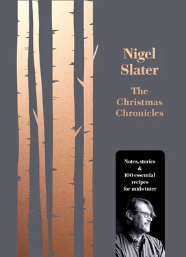 Nigel Slater The Christmas Chronicles обложка книги