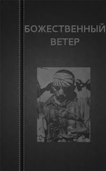 Вадим Астанин - Божественный ветер