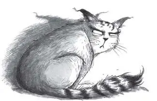 Wot choo go and do that for Grabbing peoples by the tail Is that any way to - фото 22