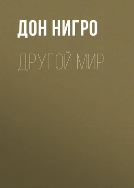 Дон Нигро Другой мир обложка книги