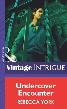 Rebecca York Undercover Encounter обложка книги