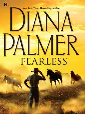 Diana Palmer Fearless обложка книги