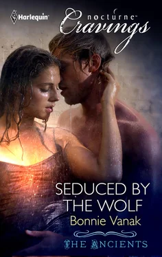 Bonnie Vanak Seduced by the Wolf обложка книги
