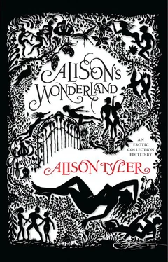 Alison Tyler Alison's Wonderland обложка книги