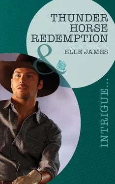 Elle James Thunder Horse Redemption обложка книги