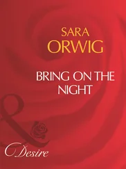 Sara Orwig - Bring On The Night