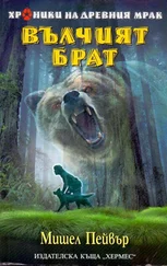 Мишел Пейвър - Вълчият брат