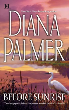 Diana Palmer Before Sunrise обложка книги