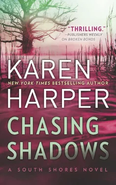 Karen Harper Chasing Shadows обложка книги