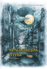 Елена Брюс - Красильщик луны. Эссеистическая поэма