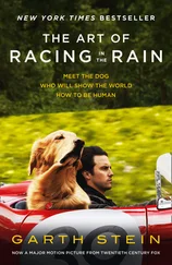 Garth Stein - The Art of Racing in the Rain