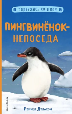 Рэйчел Дэлахэй Пингвинёнок-непоседа обложка книги