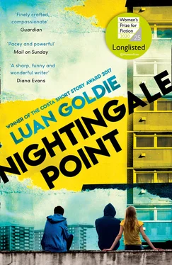 Luan Goldie Nightingale Point обложка книги