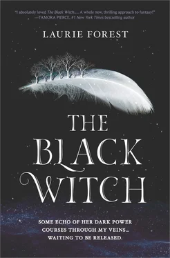 Laurie Forest The Black Witch обложка книги