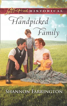 Shannon Farrington Handpicked Family обложка книги