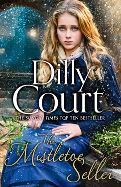 Dilly Court The Mistletoe Seller обложка книги