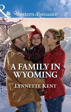 Lynnette Kent A Family In Wyoming обложка книги