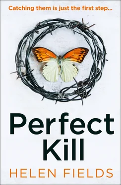 Helen Fields Perfect Kill обложка книги