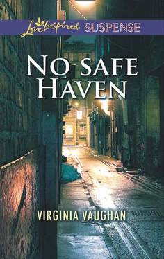 Virginia Vaughan No Safe Haven обложка книги