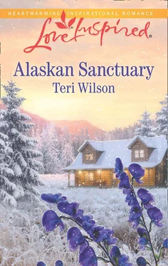 Teri Wilson Alaskan Sanctuary обложка книги