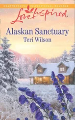 Teri Wilson - Alaskan Sanctuary