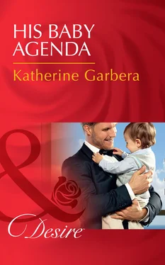 Katherine Garbera His Baby Agenda обложка книги