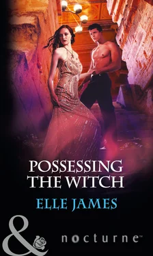 Elle James Possessing the Witch обложка книги