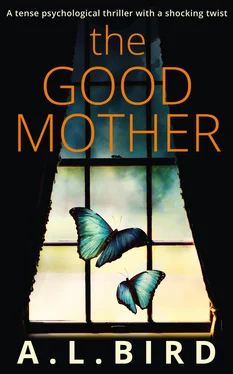 A. L. Bird The Good Mother обложка книги