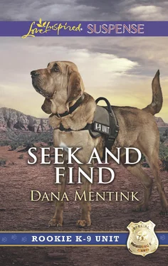 Dana Mentink Seek And Find обложка книги