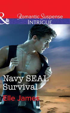 Elle James Navy Seal Survival обложка книги