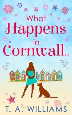 T A Williams What Happens In Cornwall... обложка книги