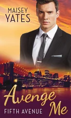 Maisey Yates - Avenge Me