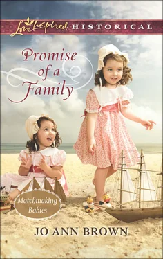 Jo Ann Promise of a Family обложка книги