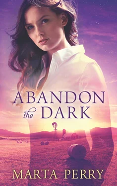 Marta Perry Abandon the Dark обложка книги
