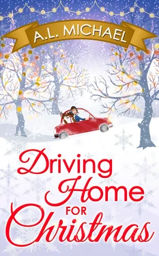 A. L. Michael Driving Home For Christmas обложка книги