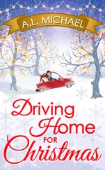 A. L. Michael - Driving Home For Christmas