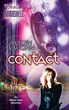 Evelyn Vaughn Contact обложка книги