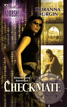Doranna Durgin Checkmate обложка книги