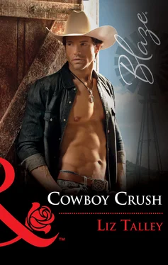 Liz Talley Cowboy Crush обложка книги