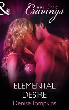 Denise Tompkins Elemental Desire обложка книги