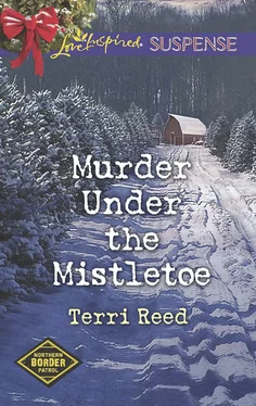 Terri Reed Murder Under The Mistletoe обложка книги