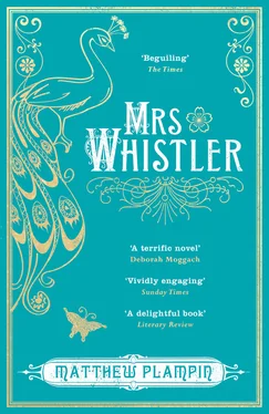 Matthew Plampin Mrs Whistler обложка книги