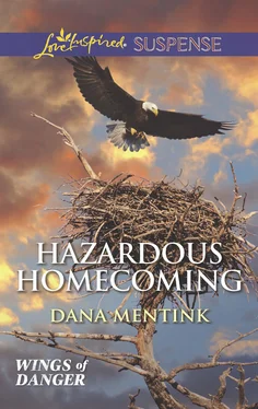 Dana Mentink Hazardous Homecoming обложка книги