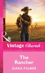 Diana Palmer - The Rancher