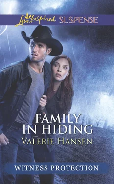 Valerie Hansen Family In Hiding обложка книги