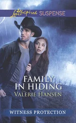Valerie Hansen - Family In Hiding