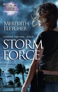 Meredith Fletcher Storm Force обложка книги